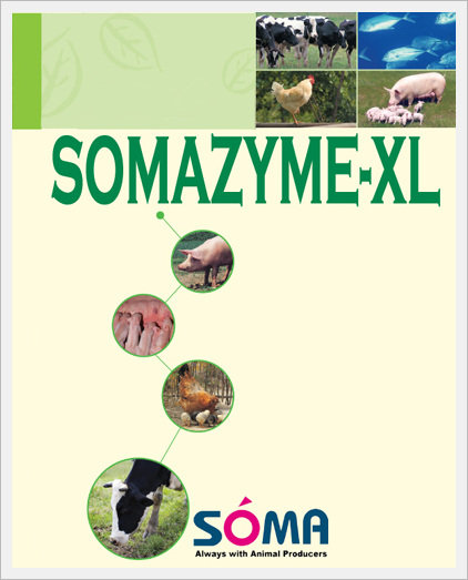 Somazyme-xl  Made in Korea